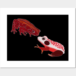 Pomegranate frogs Posters and Art